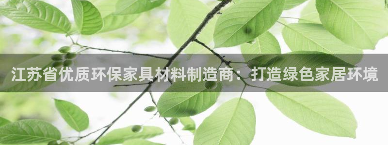 杏耀代理主管qq：江苏省优质环保家具材料制造商：打造绿色家居