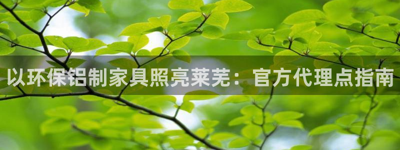 杏耀平台官方登录：以环保铝制家具照亮莱芜：官方代理点指南