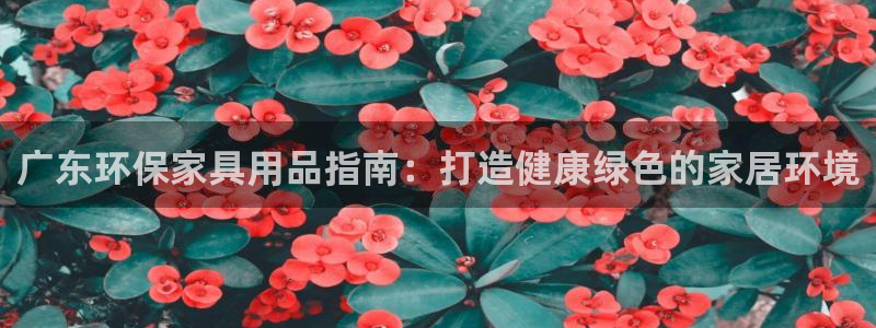 杏耀手机登录线路测速：广东环保家具用品指南：打造健康绿色的家